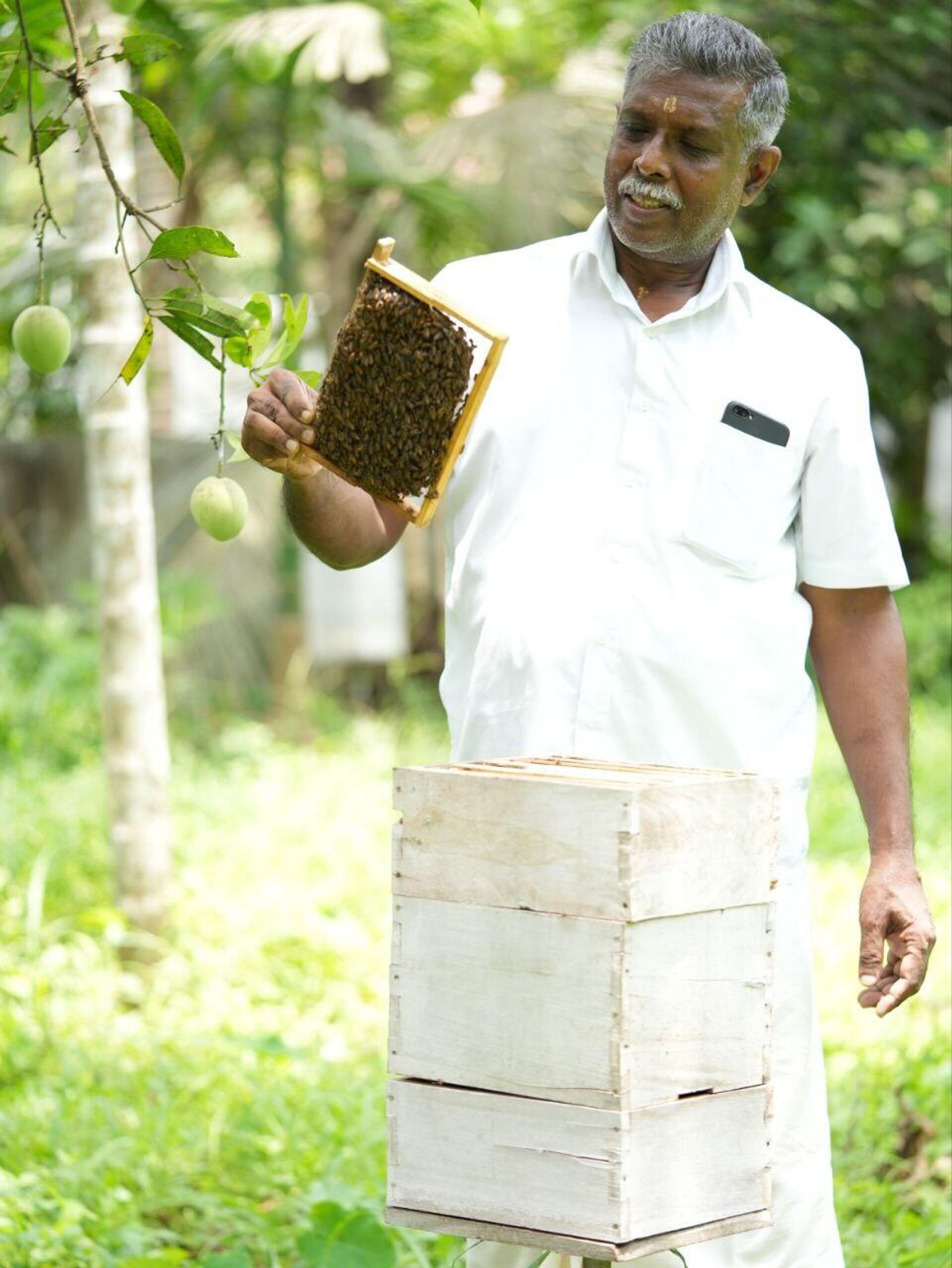 Sajayakumar M.R., a farmer and beekeeper, holding bee hive at his Bharath Bee Keeping Centre in Avanisserry area in Kerala state's Trissur district. - Sputnik India, 1920, 19.05.2023
