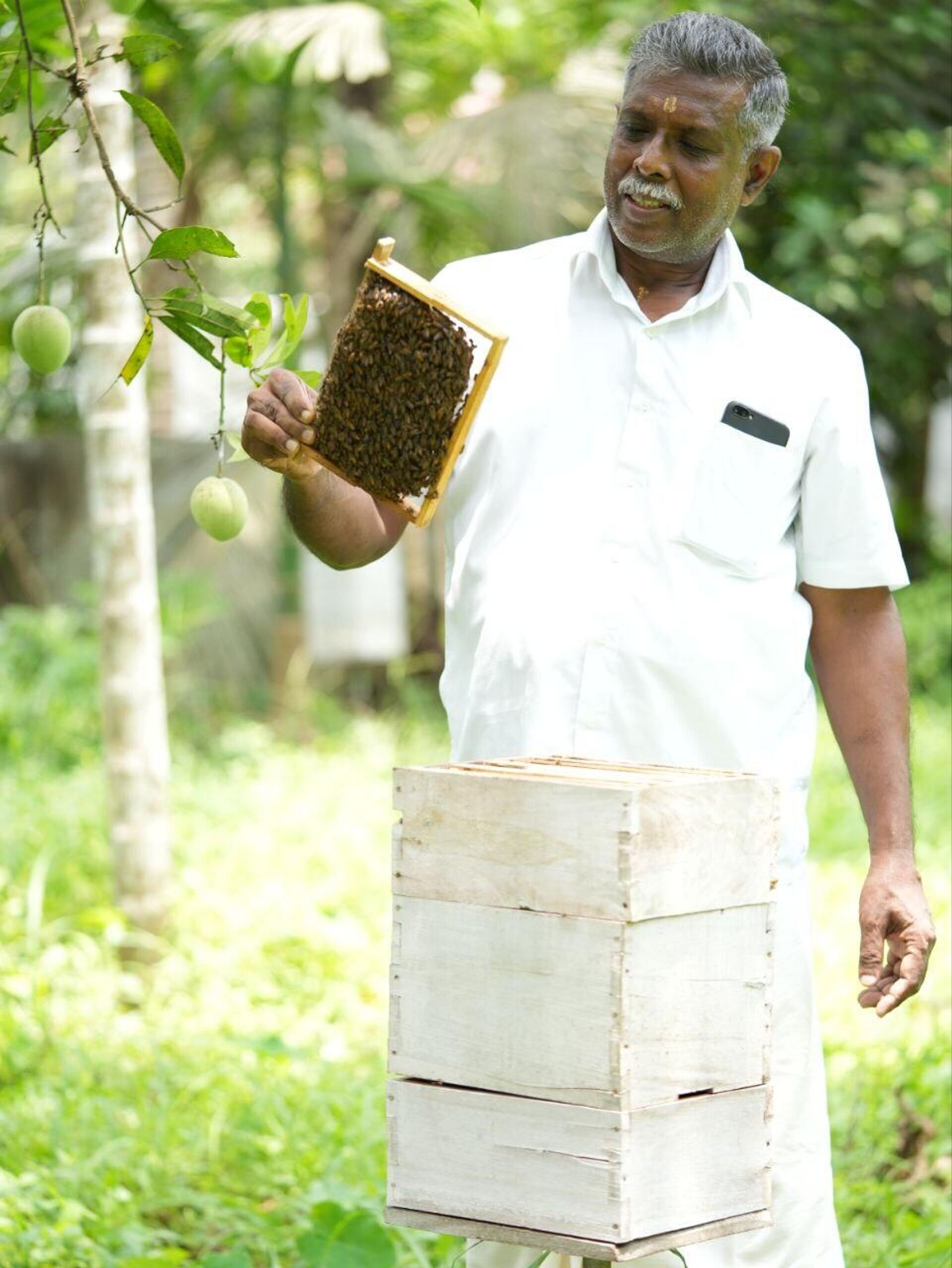 Sajayakumar M.R., a farmer and beekeeper, holding bee hive at his Bharath Bee Keeping Centre in Avanisserry area in Kerala state's Trissur district. - Sputnik भारत, 1920, 20.05.2023