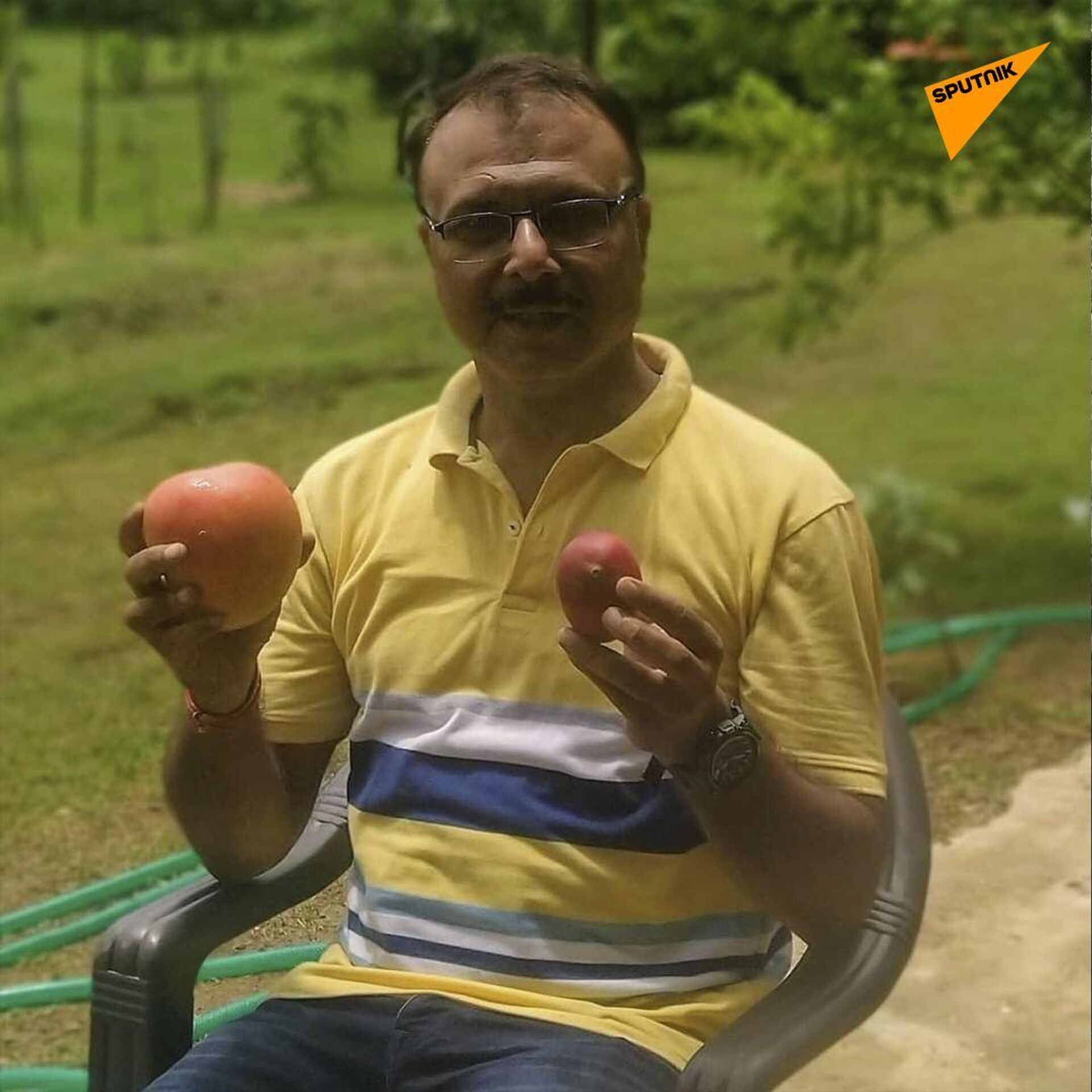 Sankalp Singh Parihar, a plantation owner from Jabalpur in Madhya Pradesh state, plants Miyazaki mangoes from Japan that sell for Rs 2.7 lakh (approx. $2,300) per kilo in the international market.  - Sputnik India, 1920, 19.05.2023