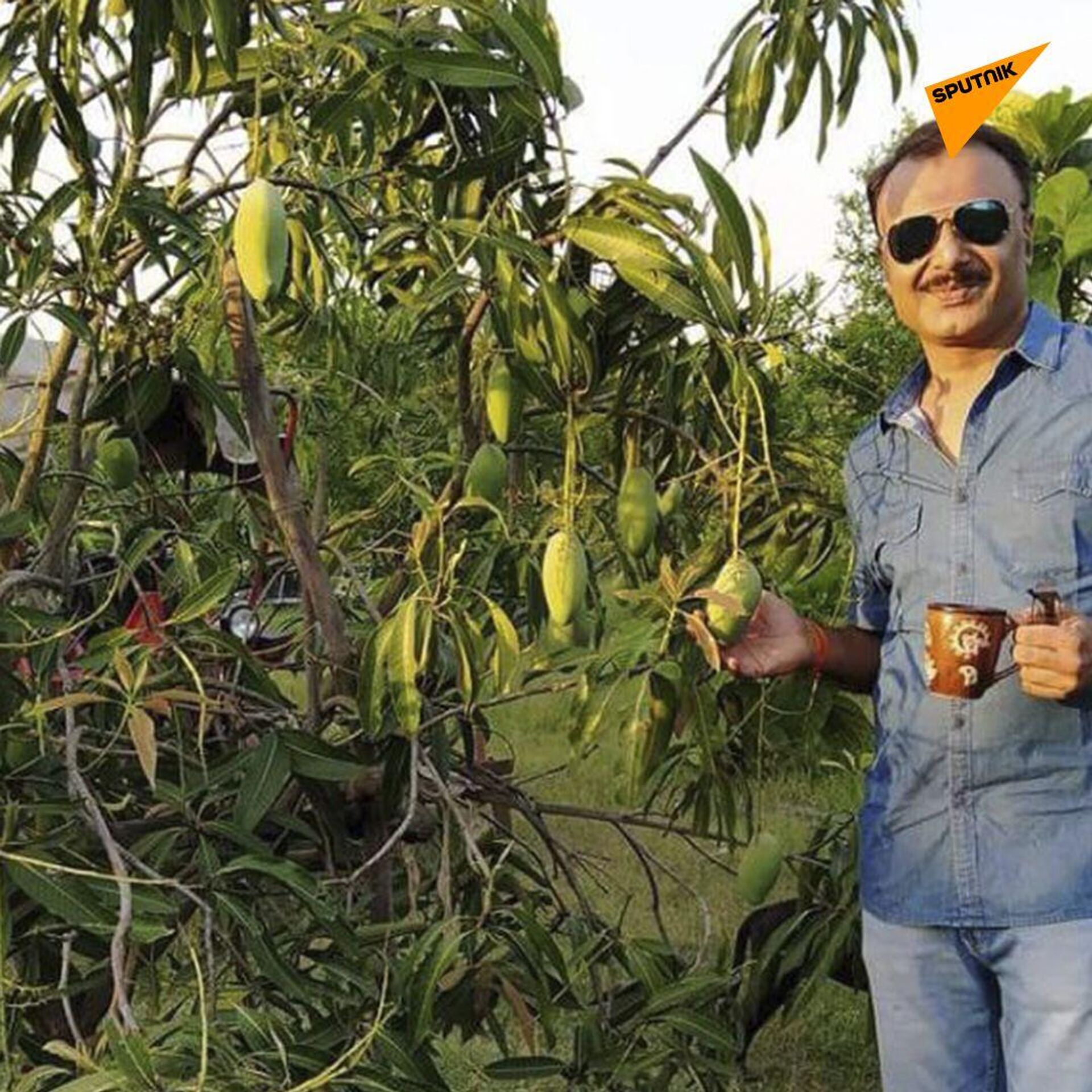 Sankalp Singh Parihar, a plantation owner from Jabalpur in Madhya Pradesh state, plants Miyazaki mangoes from Japan that sell for Rs 2.7 lakh (approx. $2,300) per kilo in the international market.  - Sputnik India, 1920, 19.05.2023