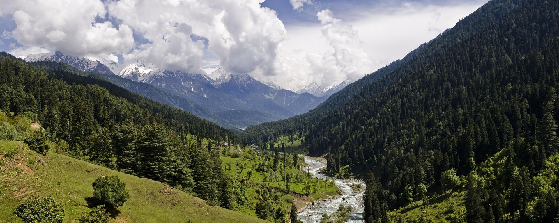 View of the Pahalgam Valley, located in the northeastern part of the Kashmir valley in Jammu and Kashmir, India. - Sputnik भारत, 1920, 11.07.2023