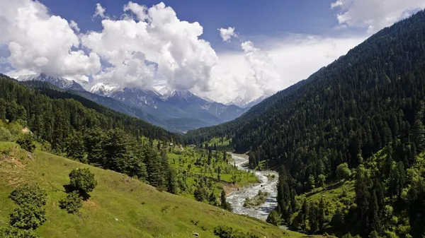 View of the Pahalgam Valley, located in the northeastern part of the Kashmir valley in Jammu and Kashmir, India. - Sputnik भारत