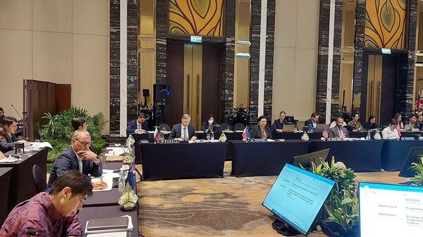 Ambassador of Russia to ASEAN is taking part in the Second East Asia Summit (EAS) Ambassadors' Meeting - Sputnik India