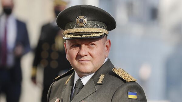 Commander-in-Chief of the Armed Forces of Ukraine Valery Zaluzhny - Sputnik भारत