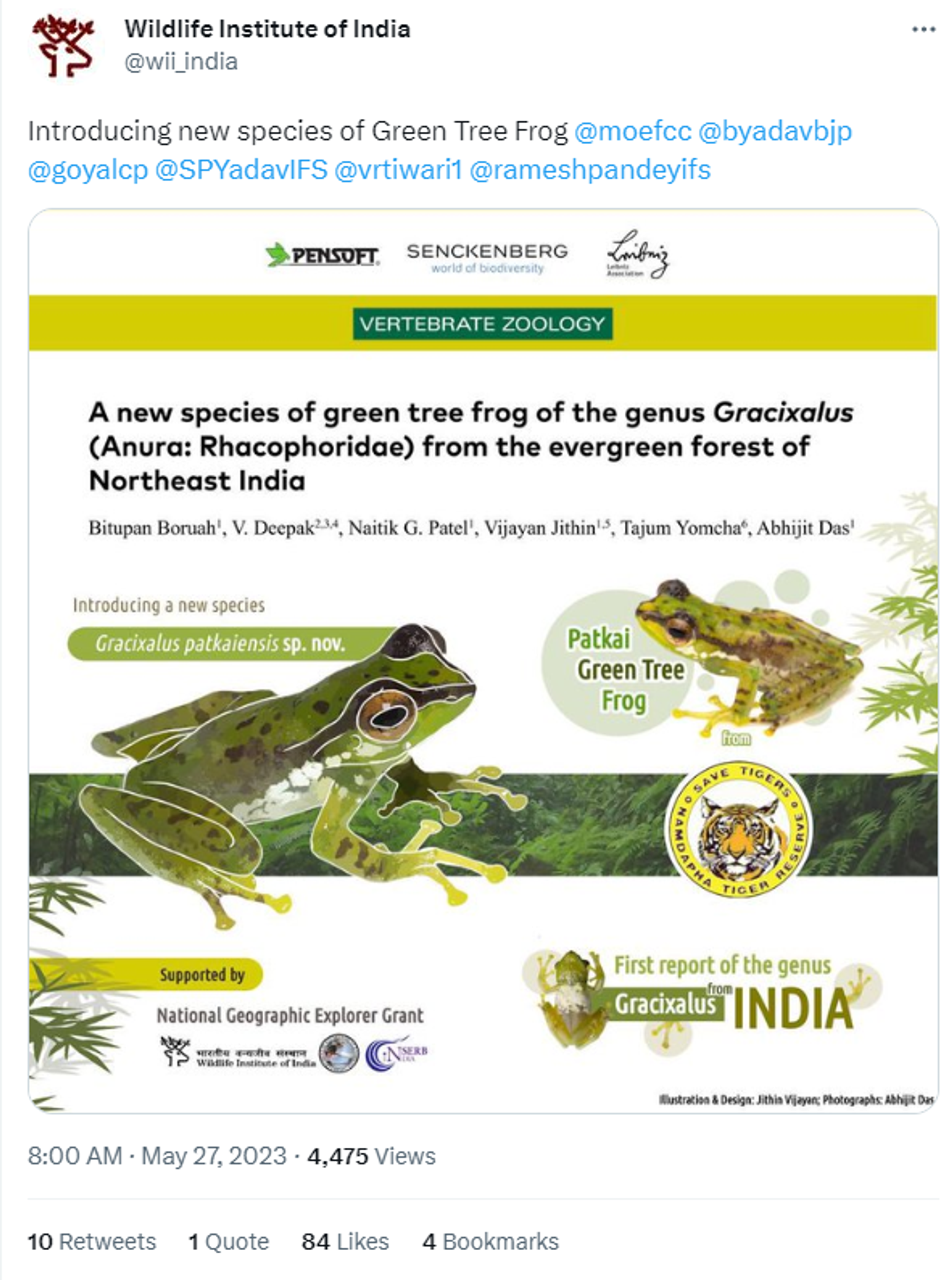 Indian Scientists Discover New Patkai Green Tree Frog Species in Arunachal Pradesh - Sputnik India, 1920, 29.05.2023