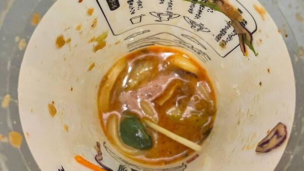  Japanese man finds live frog in takeaway udon  - Sputnik India