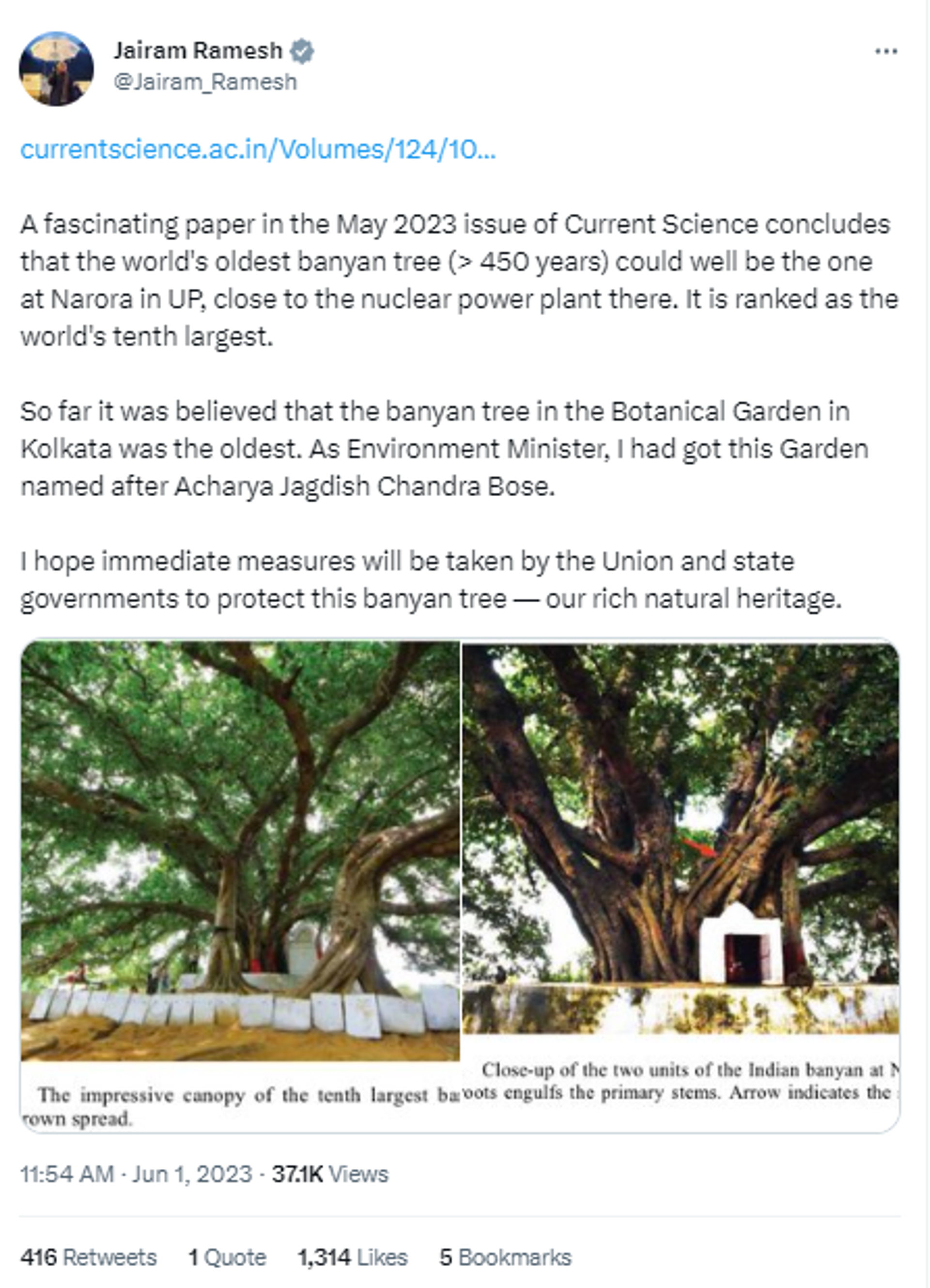 500 YO Banyan Tree In Uttar Pradesh's Bulandshahr Declared 'World's Oldest' - Sputnik India, 1920, 04.06.2023