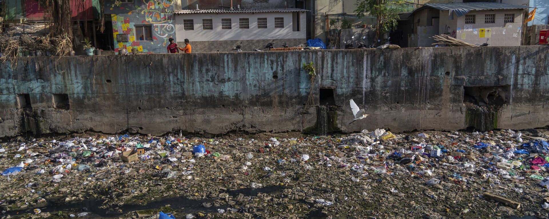 Garbage along with plastic chokes a polluted canal in Mumbai, India, Monday, May 29, 2023. - Sputnik India, 1920, 05.06.2023