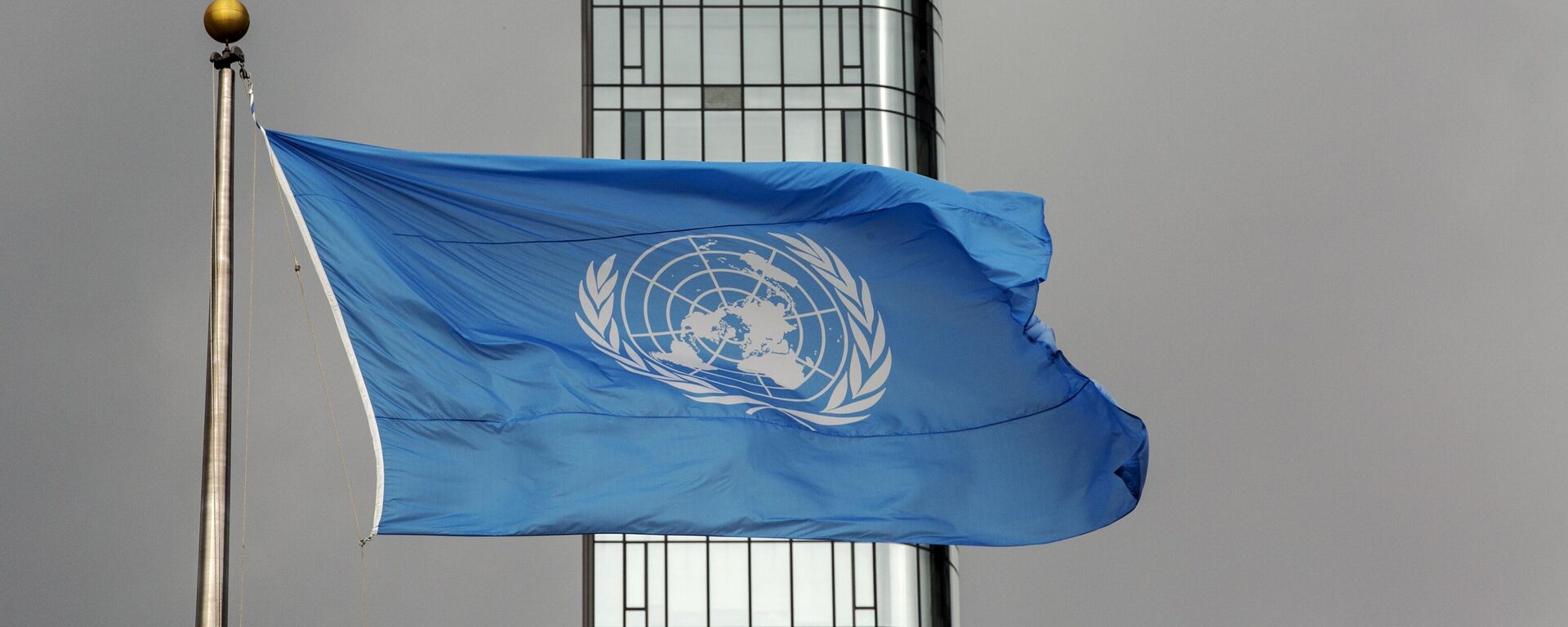 The UN flag - Sputnik भारत, 1920, 15.06.2023