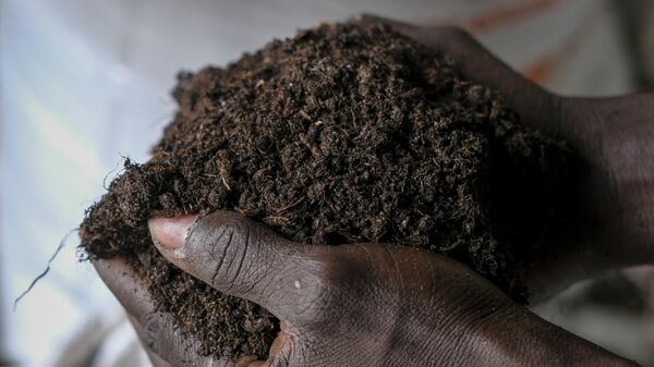 A worker holds organic fertilizer produced by larvae of the black soldier fly, at Marula Proteen Ltd in Kampala, Uganda Friday, Sept. 2, 2022.  - Sputnik India