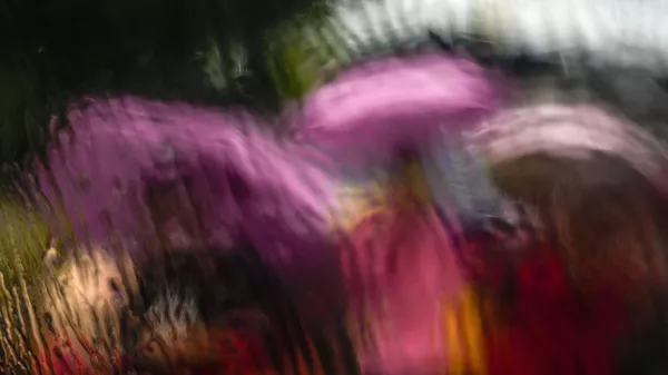 Monsoon rains in India - Sputnik भारत