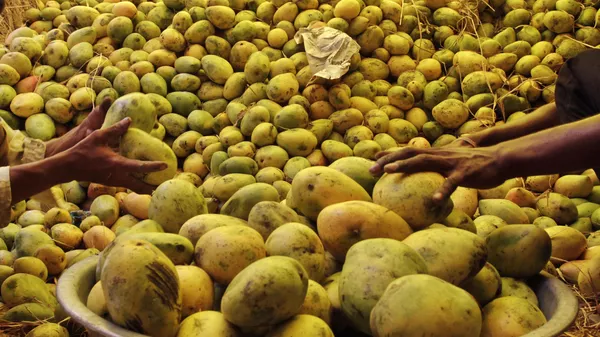 Mango - Sputnik भारत