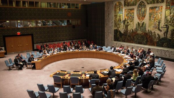 The United Nations Security Council (UNSC) - Sputnik भारत