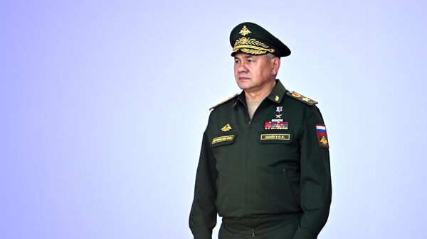 Russian Defence Minister Sergei Shoigu  - Sputnik India