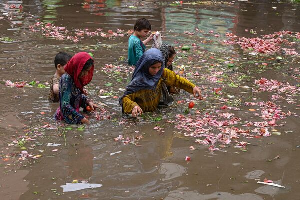 लाहौर में भारी बारिश के बाद जलमग्न बाजार में पानी से सब्जियाँ इकठ्ठा करते बच्चे, जून 26, 2023. (Photo by Arif ALI / AFP) - Sputnik भारत