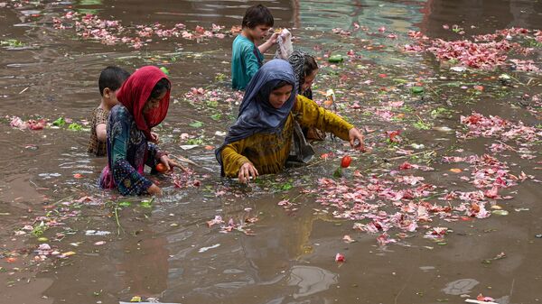 Дети собирают овощи из воды на затопленном рынке после сильного дождя в Лахоре, Пакистан - Sputnik भारत