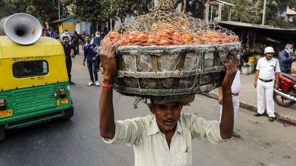 A man carries a basket on his head filled with tomatoes to be delivered to a nearby market in Kolkata, India, Saturday, Jan. 30, 2021. - Sputnik India