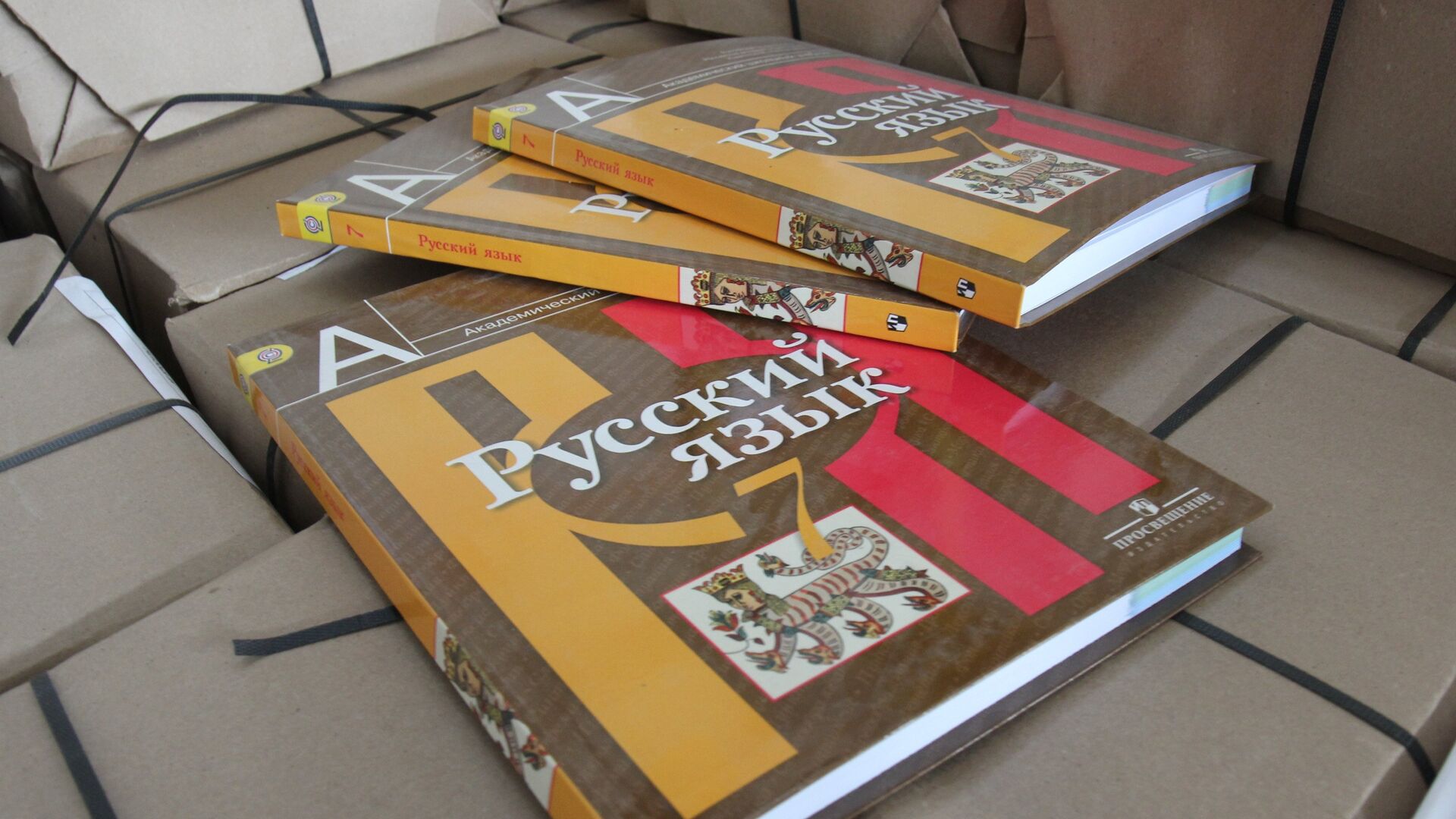 Textbooks on the Russian language. (File) - Sputnik भारत, 1920, 03.02.2024