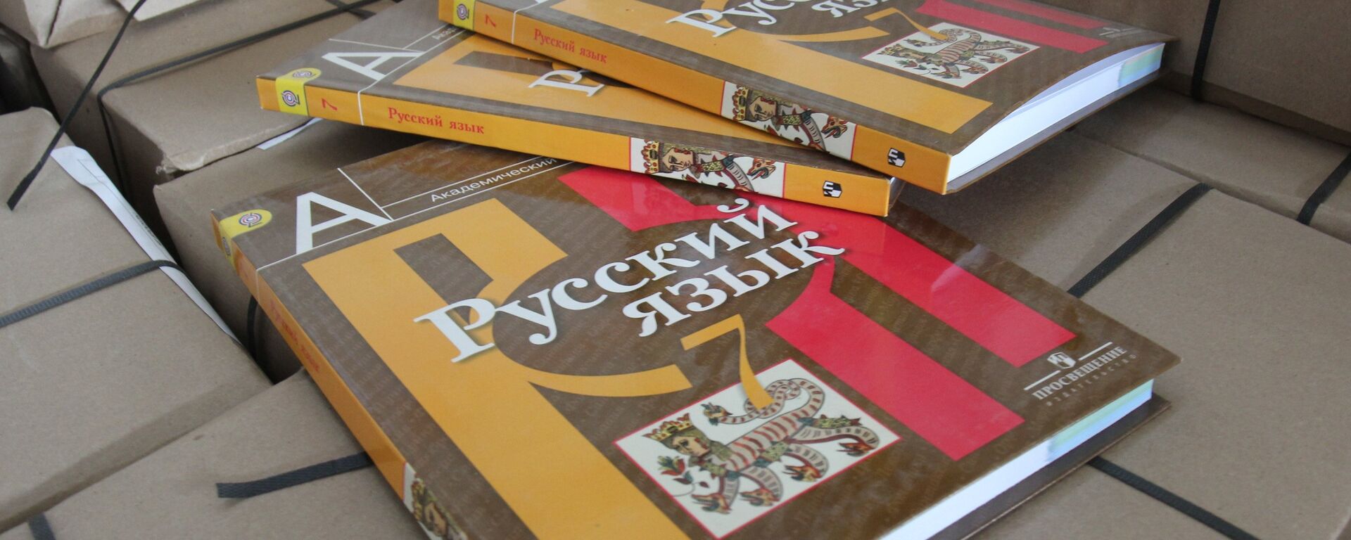 Textbooks on the Russian language. (File) - Sputnik India, 1920, 30.06.2023