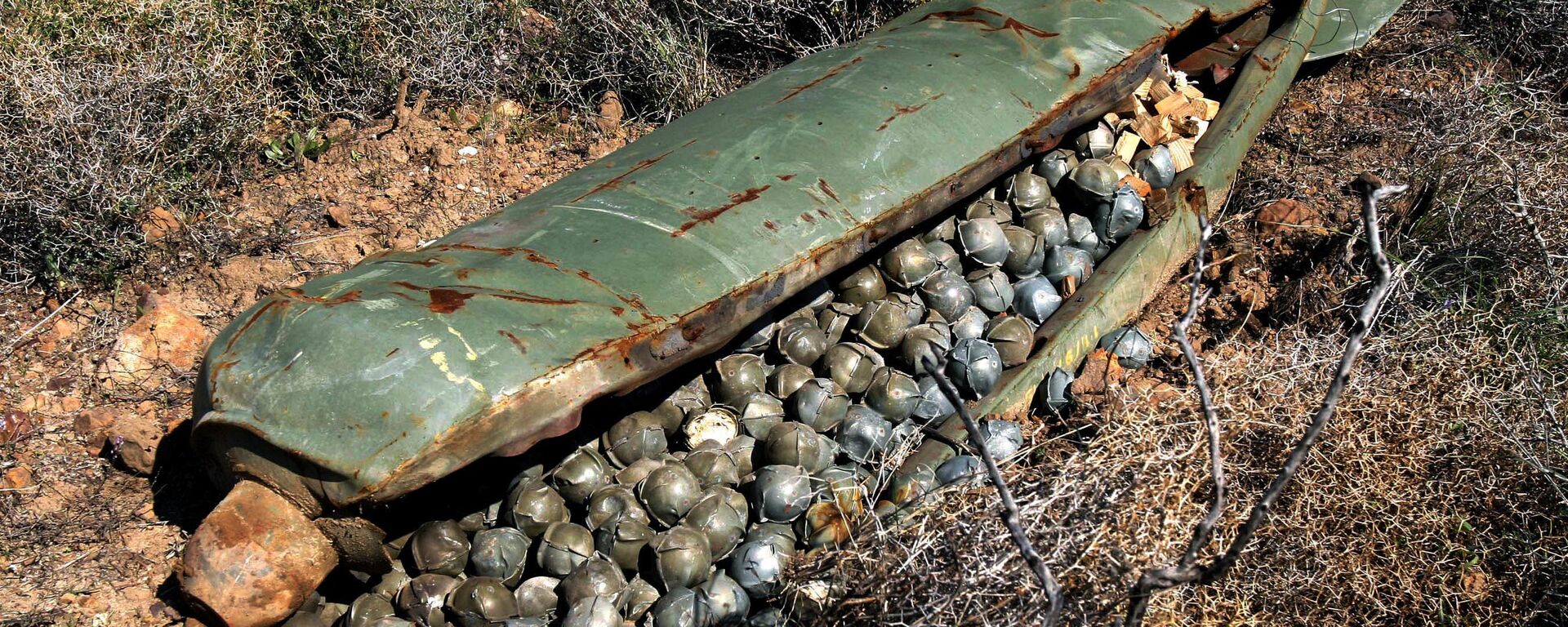 A cluster bomb  - Sputnik India, 1920, 10.07.2023