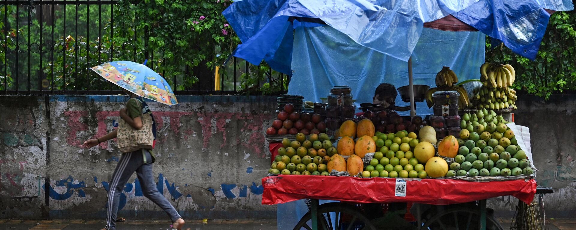 A vendor waits for customers as it rains in New Delhi on July 8, 2023. - Sputnik भारत, 1920, 09.07.2023