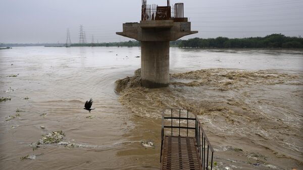 A crow flies across a swollen River Yamuna following torrential rains in New Delhi - Sputnik भारत