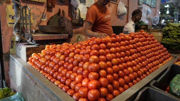 A vendor arranges tomatoes at a vegetable market in Ahmedabad, India, Tuesday, July 11, 2023. - Sputnik भारत