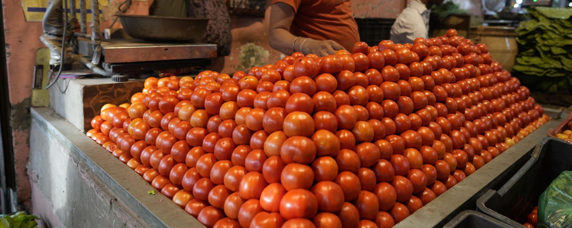 A vendor arranges tomatoes at a vegetable market in Ahmedabad, India, Tuesday, July 11, 2023. - Sputnik भारत, 1920, 12.07.2023