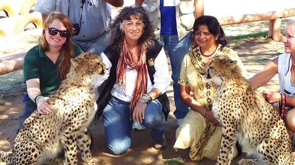 Cheetah conservation expert Pradnya Giradkar with her mentor Dr. Laurie Marker, a renowned wildlife researcher - Sputnik India