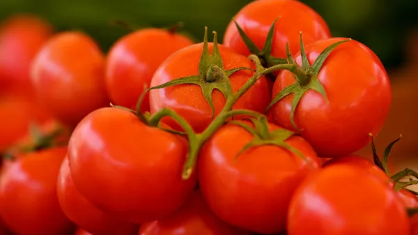 Tomatoes are seen on a counter at a grocery market - Sputnik भारत