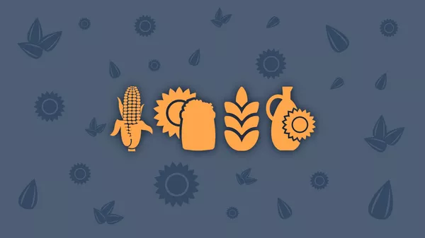 Grain deal - Sputnik भारत