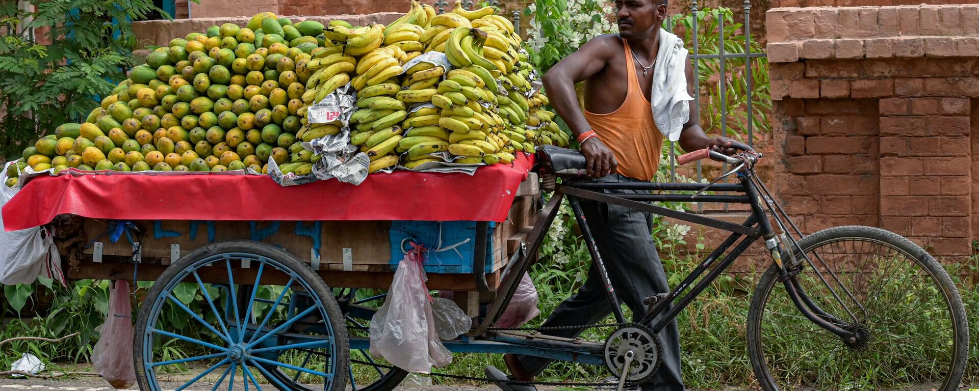 A vendor sells fruits along a street on a hot summer day in Amritsar on July 18, 2023.  - Sputnik भारत, 1920, 21.07.2023