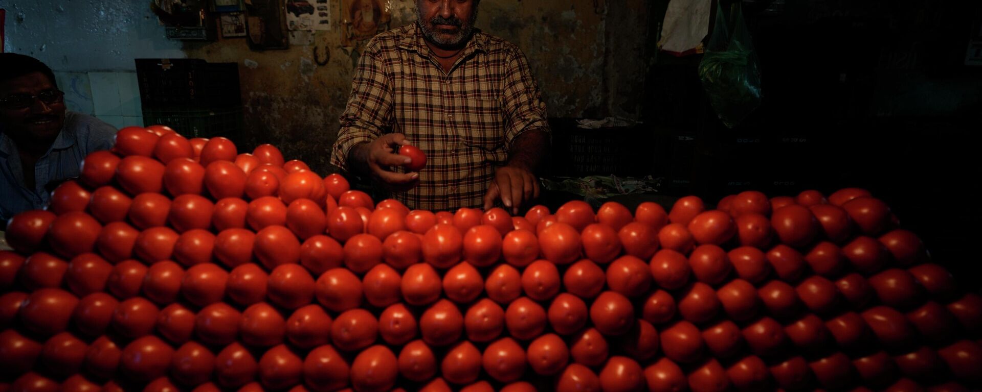 A vendor arranges tomatoes at a vegetable market in Ahmedabad, India, Tuesday, July 11, 2023. - Sputnik India, 1920, 21.07.2023