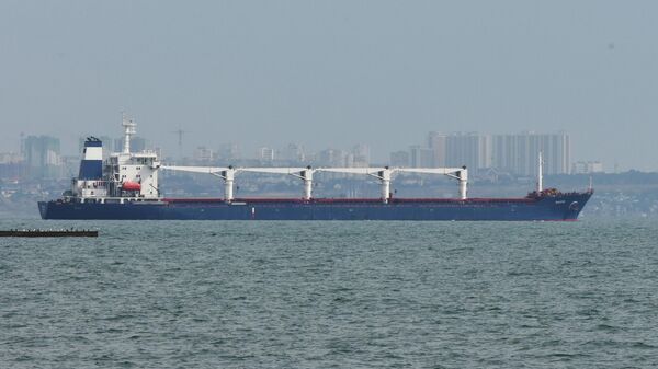 'Razoni' dry-cargo ship at the port of Odessa
 - Sputnik India
