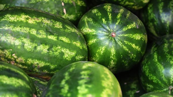 Watermelon - Sputnik भारत