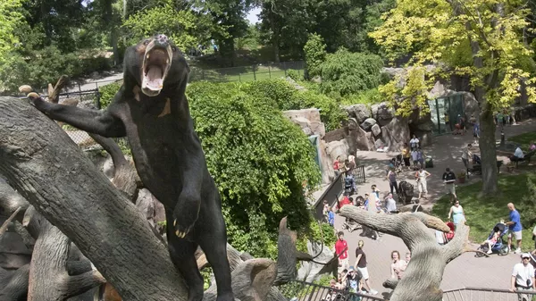 An Asian Sun Bear  - Sputnik भारत
