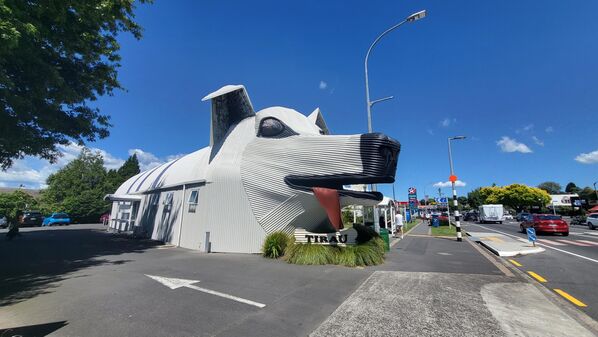Big Dog in Tirau, New Zealand - Sputnik India