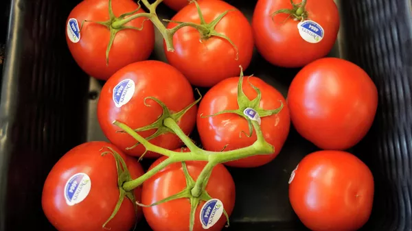 Tomatoes  - Sputnik भारत