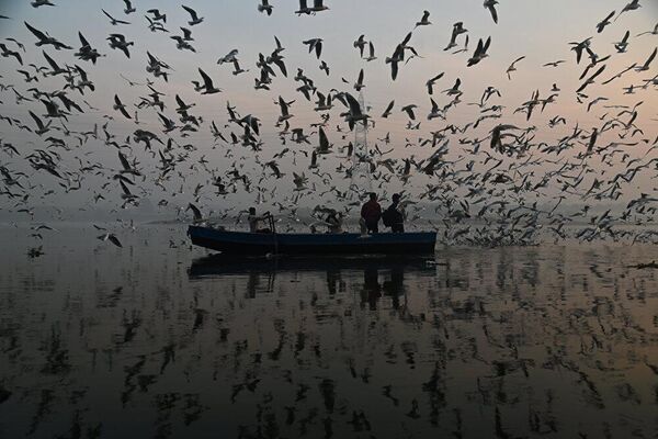आदमी नई दिल्ली में यमुना नदी के किनारे अपनी नाव चला रहा है। - Sputnik भारत