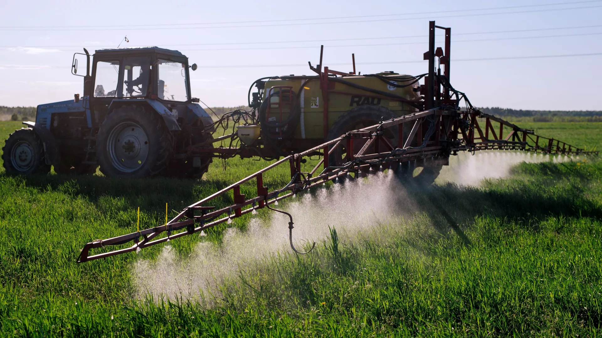 A tractor fertilizers winter cereals at a collective farm in the Teikovsky district of the Ivanovo region