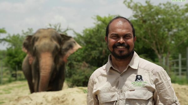Baiju Raj M.V, director of conservation projects, Wildlife SOS - Sputnik India