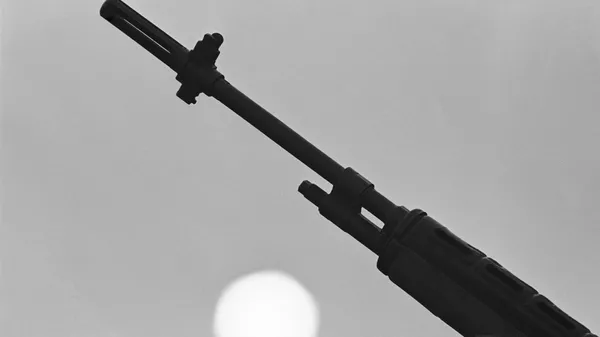 a gun - Sputnik भारत