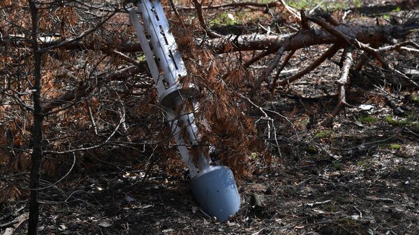 Remains of a Ukrainian Сluster Munition Near Krasny Liman - Sputnik भारत