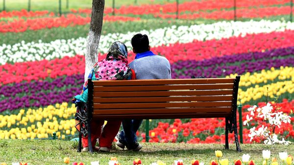 An Indian Kashmiri couple sits on a bench at a Tulip Garden, claimed to be Asia's largest, in Srinagar on April 1, 2017 - Sputnik India