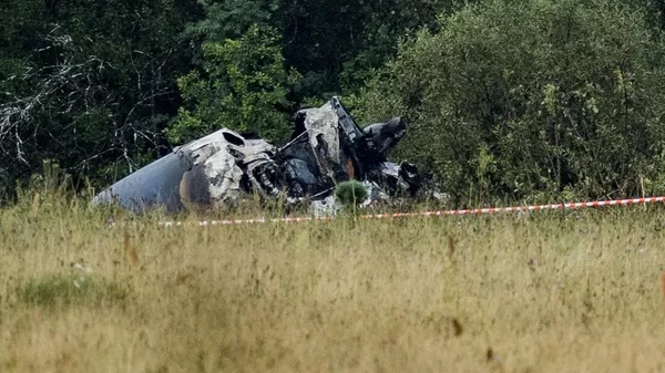 Wreckage from the Embraer Legacy private jet carrying Evgeny Prigozhin and nine other people in Tver region, Russia. August 24, 2023. - Sputnik भारत