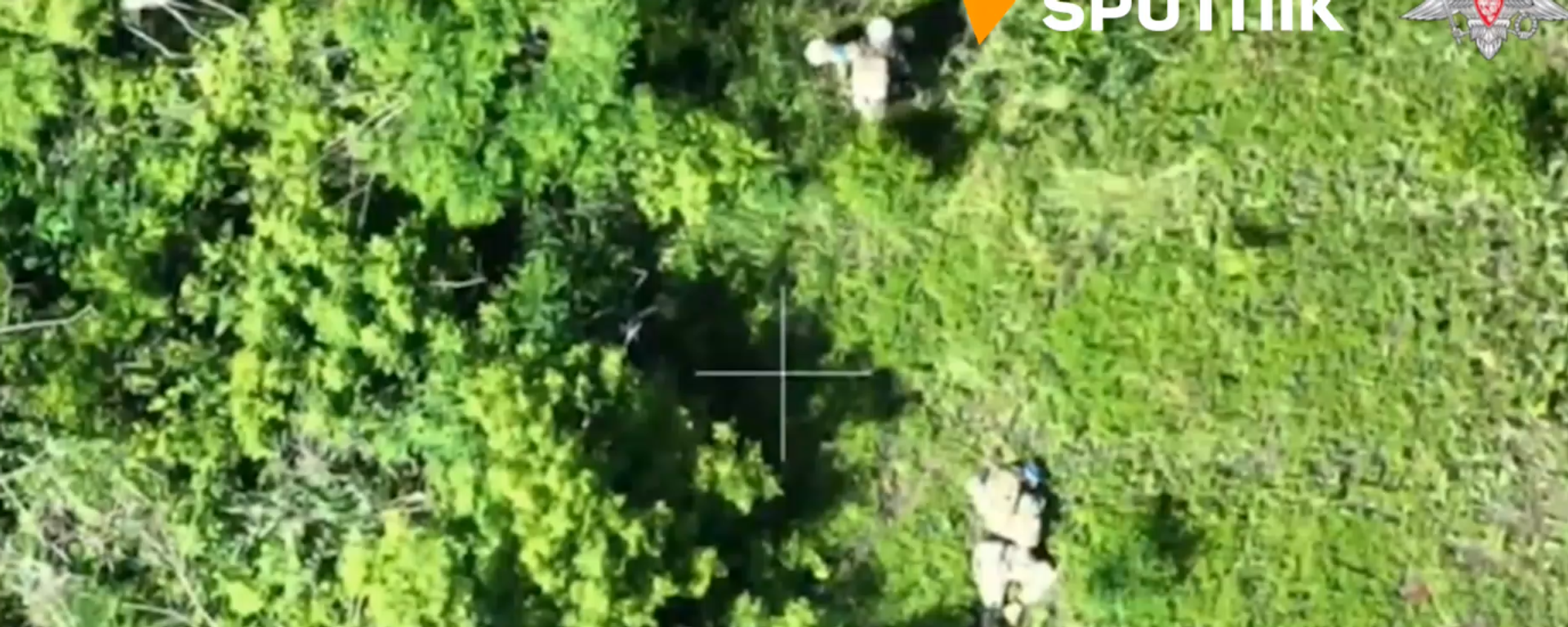 Russian UAVs spot and eliminate Ukrainian servicemen hiding in dense bushes - Sputnik भारत, 1920, 27.08.2023