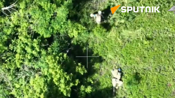 Russian UAVs spot and eliminate Ukrainian servicemen hiding in dense bushes - Sputnik भारत