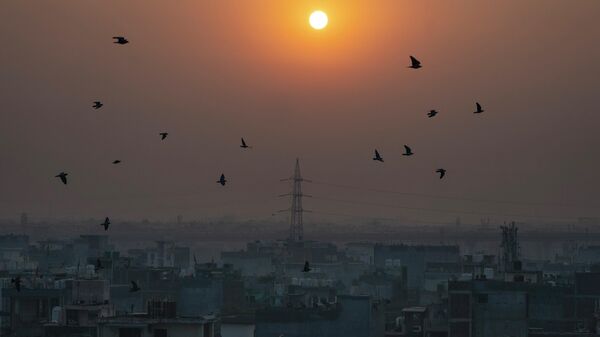 Birds fly in the foreground of rising sun as morning haze envelops the skyline in New Delhi, India, Tuesday, Oct. 25, 2022. - Sputnik India