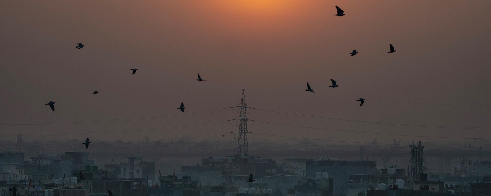 Birds fly in the foreground of rising sun as morning haze envelops the skyline in New Delhi, India, Tuesday, Oct. 25, 2022. - Sputnik India, 1920, 03.11.2023