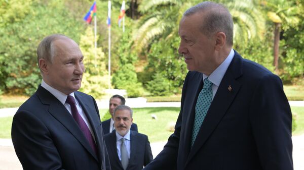 Russian President Vladimir Putin held talks with his Turkish counterpart Erdogan in Sochi. - Sputnik भारत